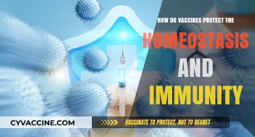 Vaccines: Safeguarding Homeostasis and Boosting Immune Resilience Effectively