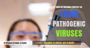 Understanding Vaccines: How They Shield Us from Harmful Viruses