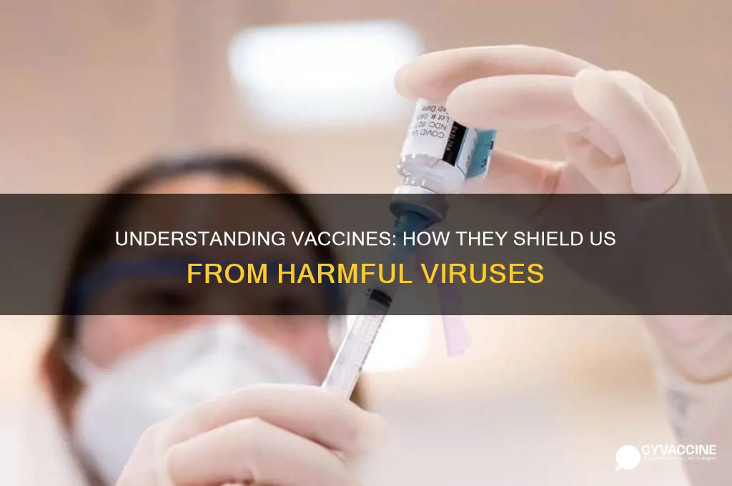 how do vaccines protect us from pathogenic viruses