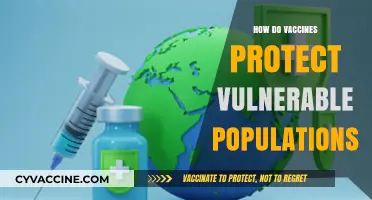 Vaccines: Safeguarding Vulnerable Populations Through Immunity and Community Protection