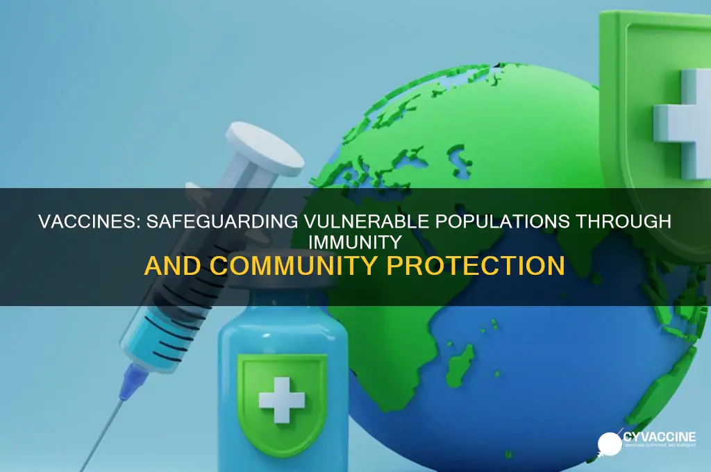 how do vaccines protect vulnerable populations