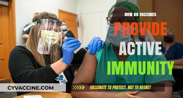 Understanding Active Immunity: How Vaccines Train Your Immune System