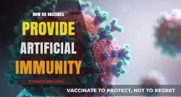 Understanding Artificial Immunity: How Vaccines Train Your Body to Fight
