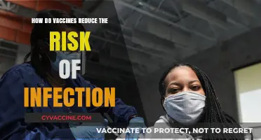 Vaccines: How They Strengthen Immunity and Lower Infection Risks