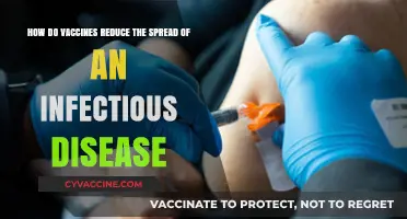 Vaccines: How They Curb Infectious Disease Transmission Effectively