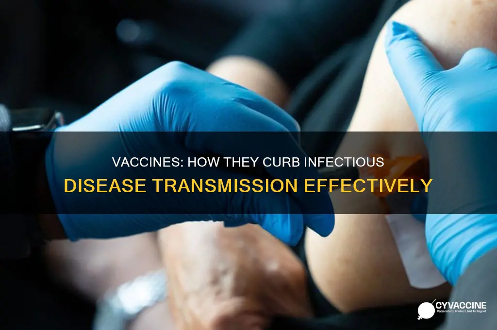 how do vaccines reduce the spread of an infectious disease