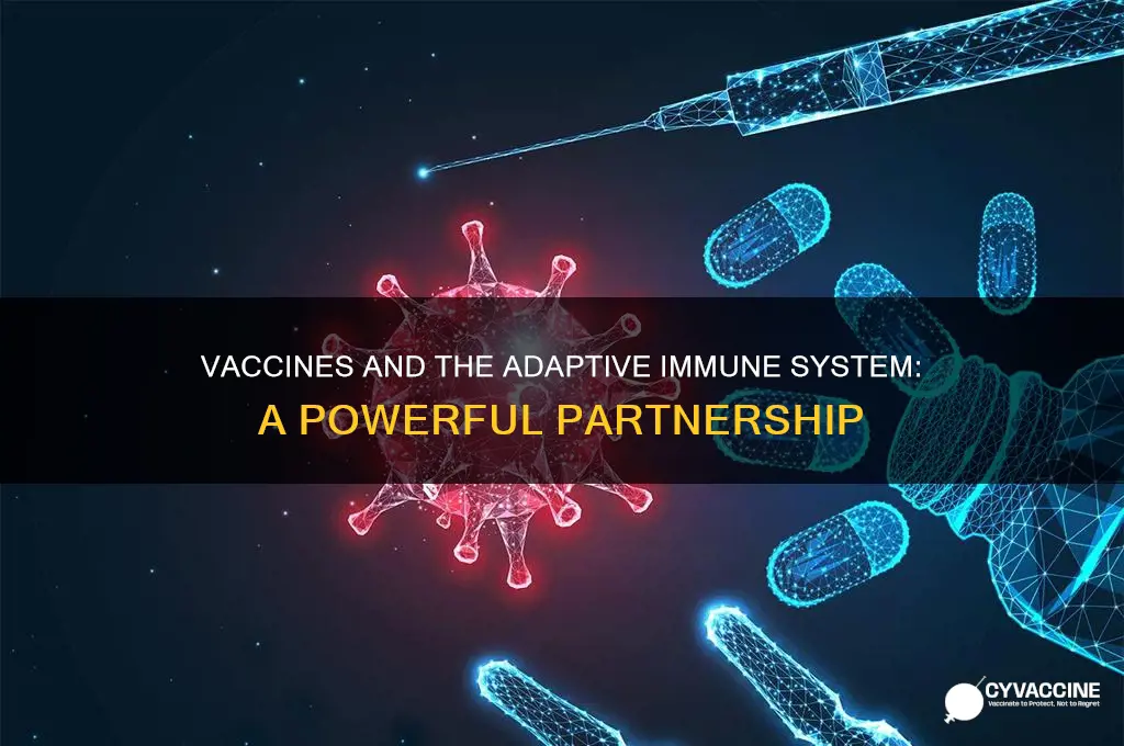 how do vaccines rely on the adaptive immune system