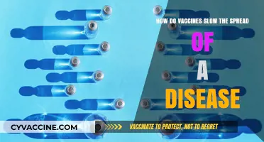Vaccines: How They Curb Disease Spread and Protect Communities