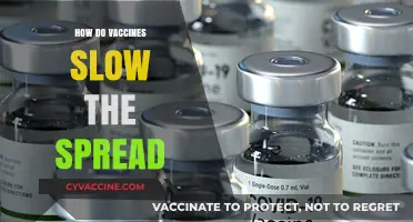 Vaccines Curb Transmission: How Immunization Slows the Spread of Diseases