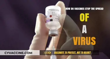 Understanding Vaccines: How They Halt Viral Spread and Protect Communities
