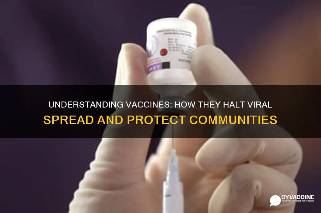 how do vaccines stop the spread of a virus