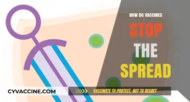 Understanding Vaccines: How They Prevent Disease Transmission and Save Lives