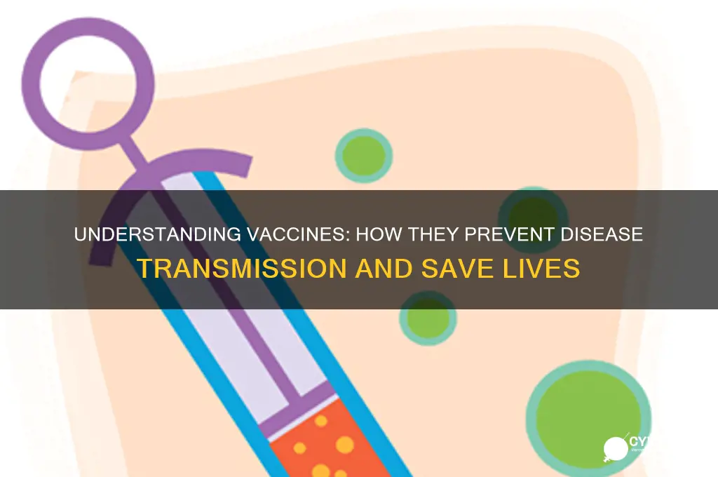 how do vaccines stop the spread