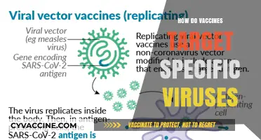 Understanding Vaccines: How They Precisely Target and Combat Specific Viruses