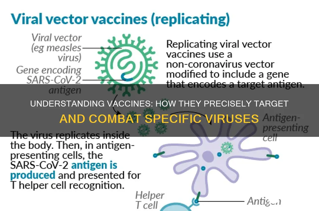 how do vaccines target specific viruses