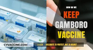 Effective Storage and Handling Tips for Gamboro Vaccine Preservation