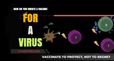 Understanding Vaccine Development: A Step-by-Step Guide to Combating Viruses