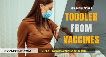Safe Toddler Detox: Supporting Vaccine Recovery Naturally and Gently