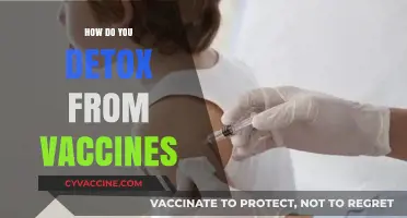 Natural Vaccine Detox Strategies: Safe, Effective, and Holistic Approaches