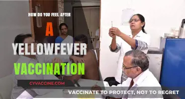 Post-Yellow Fever Vaccination: Understanding Side Effects and Recovery Experience