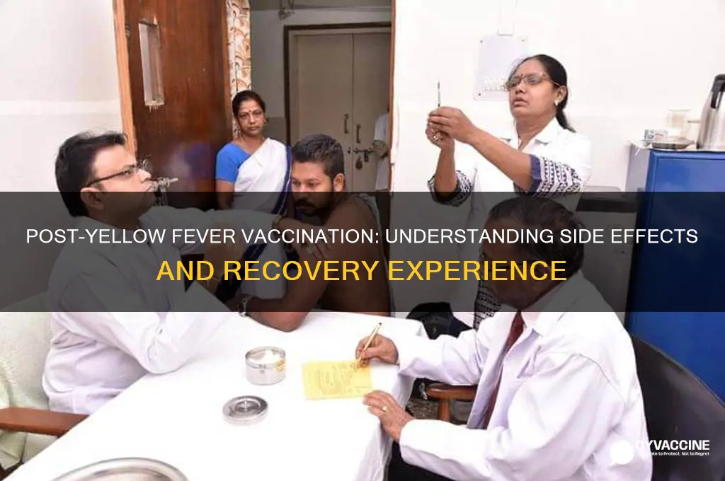how do you feel after a yellowfever vaccination