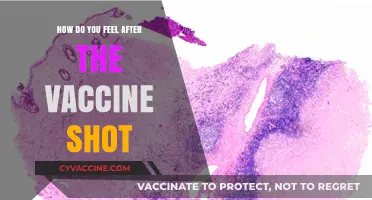Post-Vaccine Reactions: Understanding Your Body's Response to the Shot