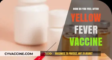 Post-Yellow Fever Vaccine: Understanding Common Side Effects and Recovery