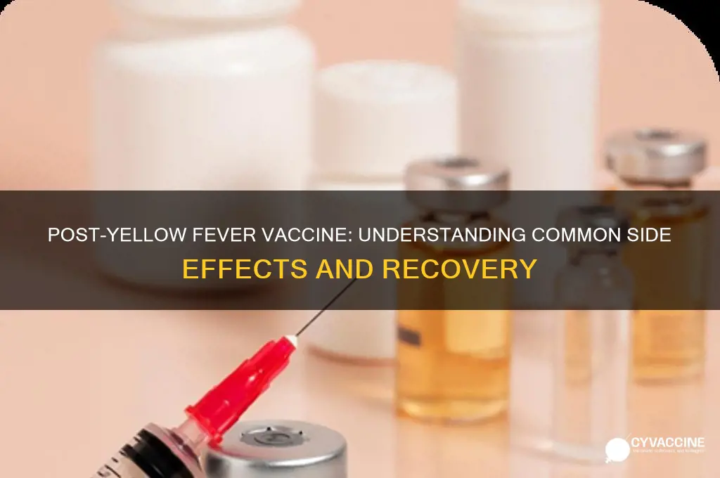 how do you feel after yellow fever vaccine