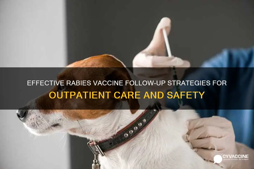 how do you folllow up with rabies vaccine outpatient