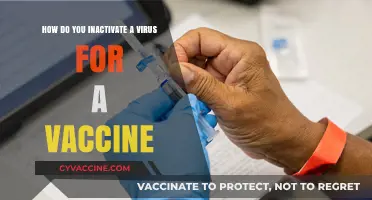 Understanding Virus Inactivation: Key Steps in Safe Vaccine Development