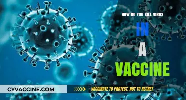 Understanding Vaccine Development: How Viruses Are Neutralized for Safe Immunization