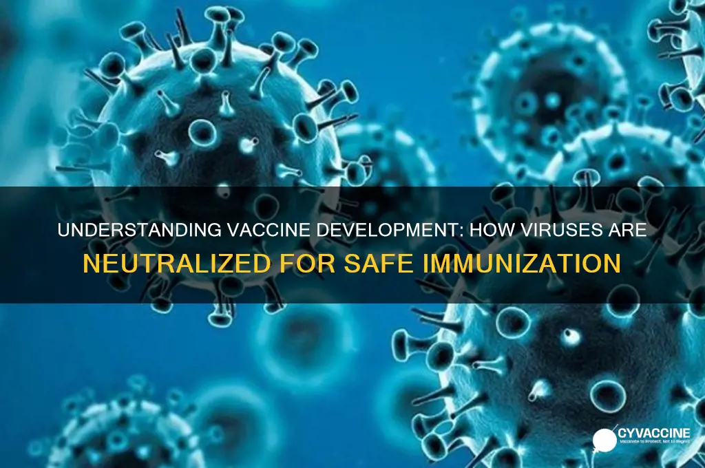 how do you kill virus in a vaccine
