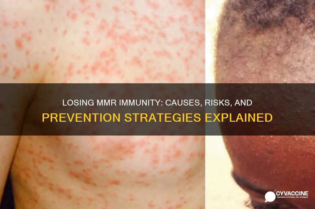 how do you lose immunity to mmr vaccine