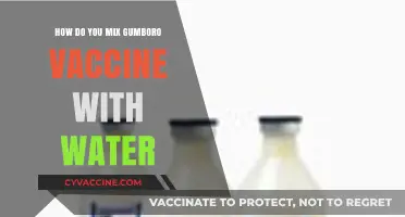 Mixing Gumboro Vaccine with Water: A Step-by-Step Guide for Poultry Farmers