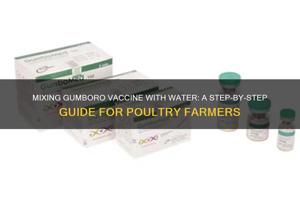 how do you mix gumboro vaccine with water