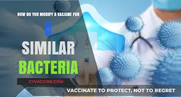 Adapting Vaccines: Strategies for Targeting Similar Bacterial Strains