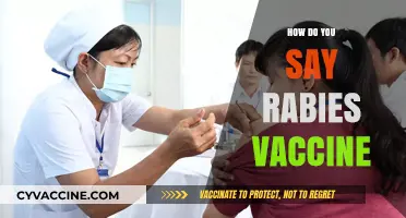 How to Say Rabies Vaccine in Different Languages: A Quick Guide