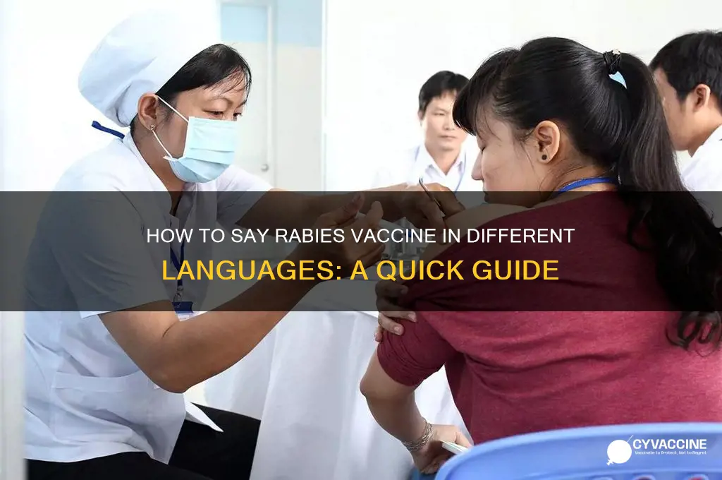 how do you say rabies vaccine