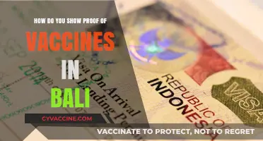 Bali Vaccine Requirements: How to Show Proof of Vaccination Easily