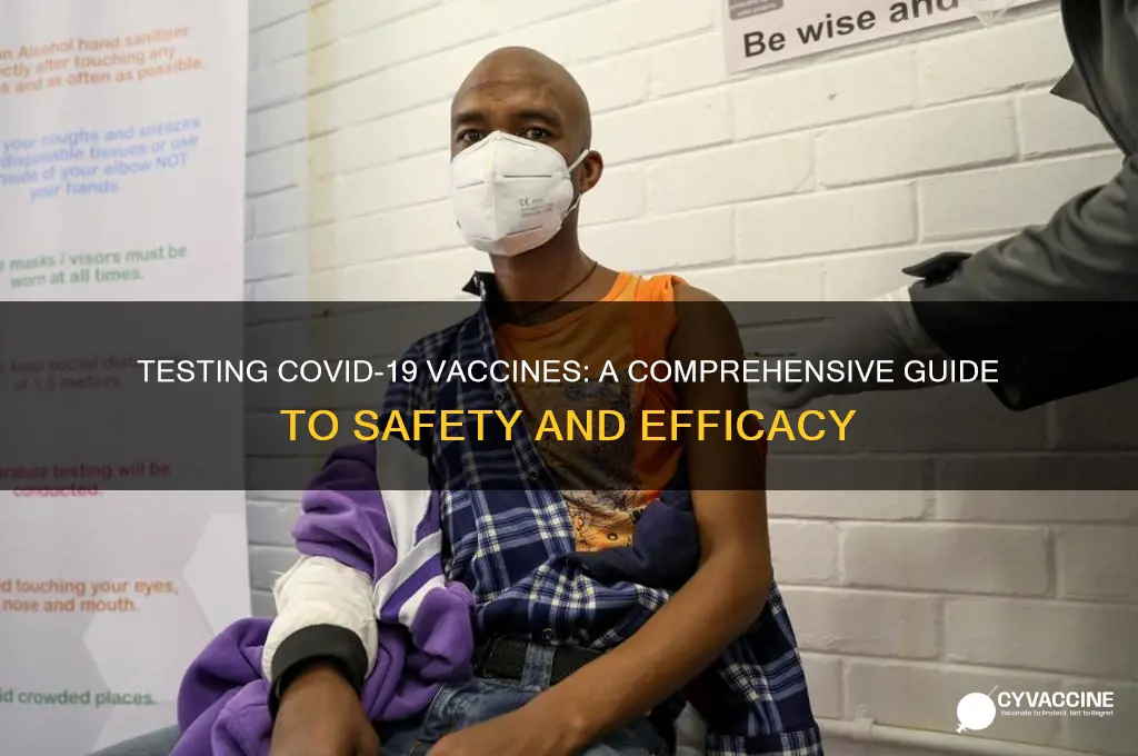 how do you test a vaccine for coronavirus