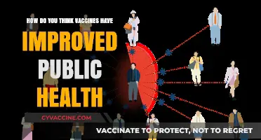 Vaccines: Revolutionizing Public Health and Saving Lives Globally