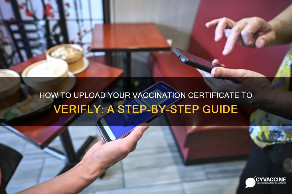 how do you upload vaccination certificate to verifly