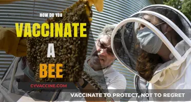 Protecting Pollinators: The Science Behind Vaccinating Bees for Colony Health
