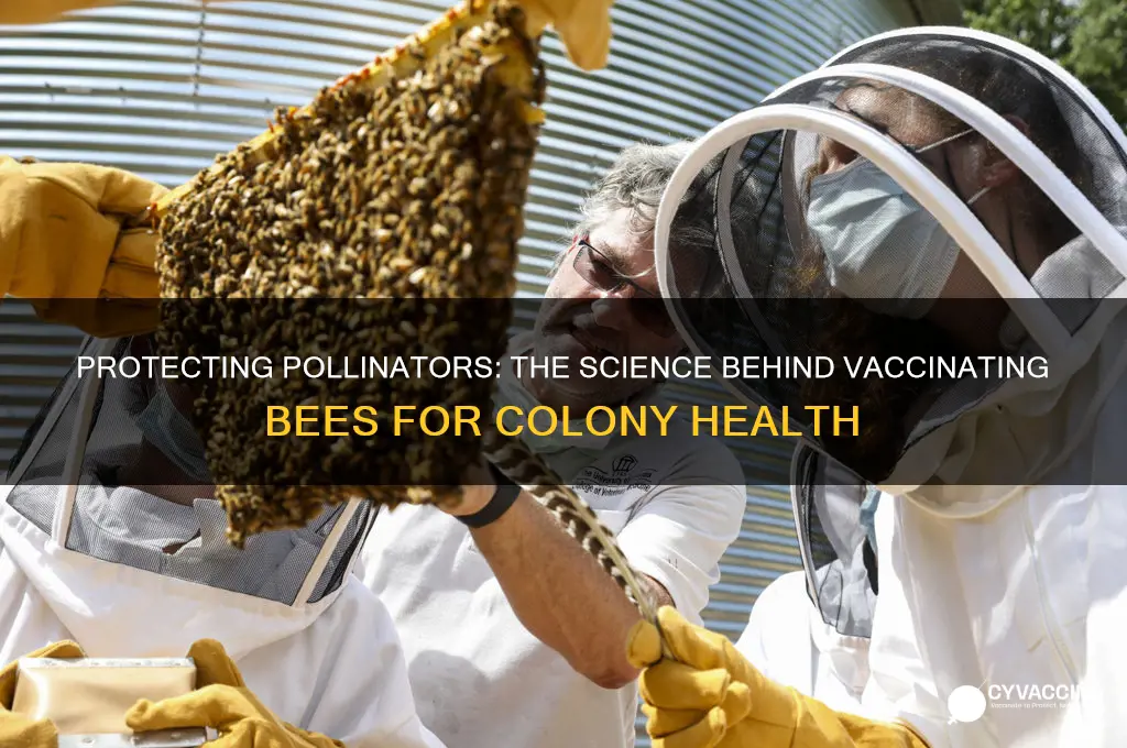 how do you vaccinate a bee