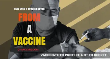 Boosters vs. Vaccines: Key Differences and Their Role in Immunity