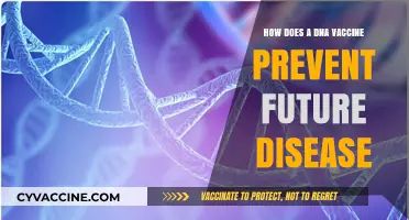 DNA Vaccines: How They Train Your Body to Fight Future Diseases