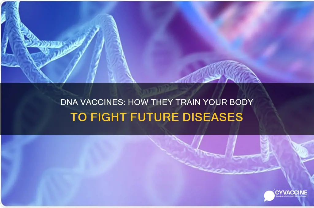 how does a dna vaccine prevent future disease
