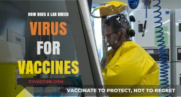 Breeding Viruses for Vaccines: The Science Behind Lab Cultivation