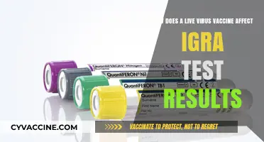 Live Virus Vaccines: Impact on IGRA Test Accuracy Explained