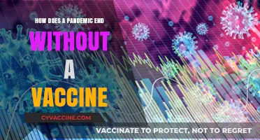 Ending a Pandemic: Strategies Beyond Vaccines for Global Recovery